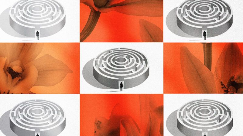 A grid of nine boxes, with four showing parts of an orchid flower, and give showing a person entering a circular maze. A grid of nine boxes, with four showing parts of an orchid flower, and give showing a person entering a circular maze. | Photos: orchid; Alfio Scisetti. Maze; Harper